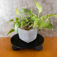 Disc Plant Stand Black