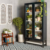 Classic Tall Glass Case
