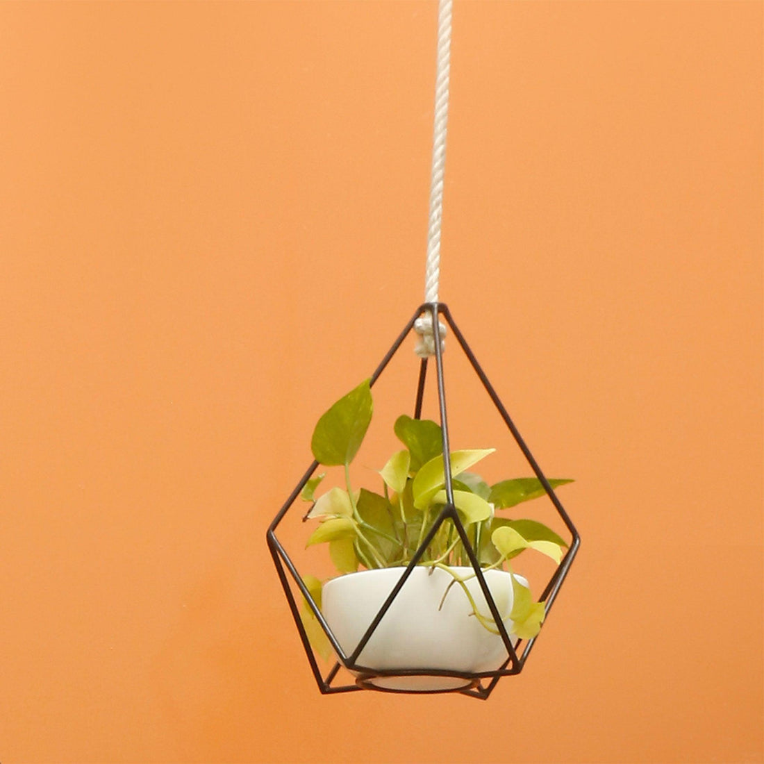 Geometric Metal Hanging Planter - Bohu Bangladesh