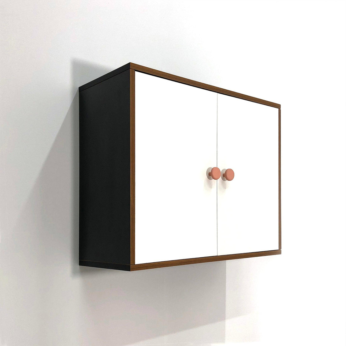 Wall-Hung Simple Cabinet (সহজ কেবিনেট)