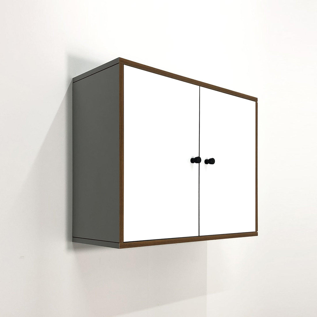 Wall-Hung Simple Cabinet (সহজ কেবিনেট)